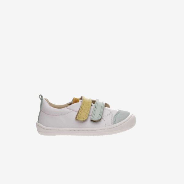 MULTICOLOR