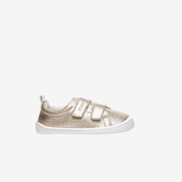 MULTICOLOR