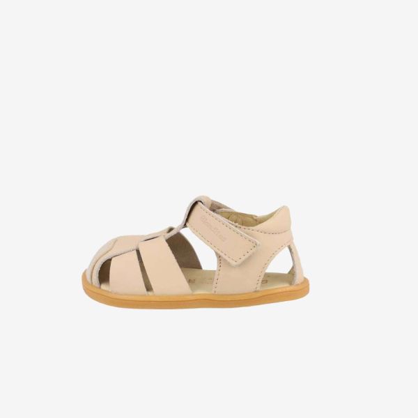 CAMEL