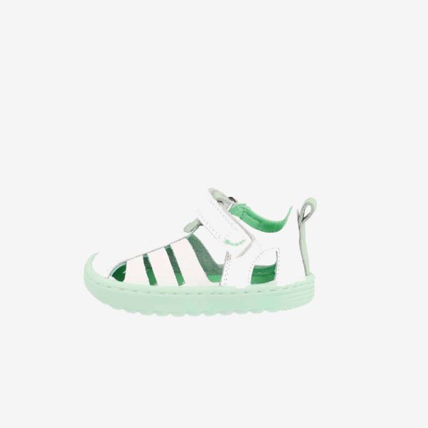 BLANCO VERDE